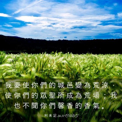 Picture 03 - 利 未 記 26:31 CUVT - 我 要 使 你 們 的 城 邑 變 為 荒 涼 - Bible Verse Picture