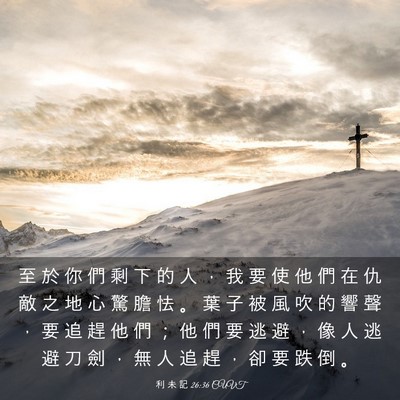 Picture 03 - 利 未 記 26:36 CUVT - 至 於 你 們 剩 下 的 人 ， 我 要 使 - Bible Verse Picture