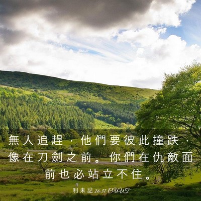 Picture 03 - 利 未 記 26:37 CUVT - 無 人 追 趕 ， 他 們 要 彼 此 撞 跌 - Bible Verse Picture