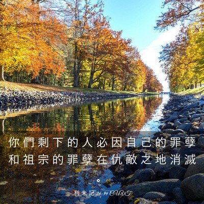 Picture 03 - 利 未 記 26:39 CUVT - 你 們 剩 下 的 人 必 因 自 己 的 罪 - Bible Verse Picture