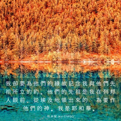Picture 03 - 利 未 記 26:45 CUVT - 我 卻 要 為 他 們 的 緣 故 記 念 我 - Bible Verse Picture
