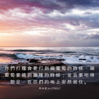 Picture 03 - 利 未 記 26:5 CUVT - 你 們 打 糧 食 要 打 到 摘 葡 萄 的 - Bible Verse Picture
