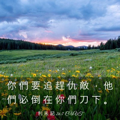 Picture 03 - 利 未 記 26:7 CUVT - 你 們 要 追 趕 仇 敵 ， 他 們 必 倒 - Bible Verse Picture