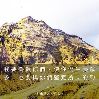 Picture 03 - 利 未 記 26:9 CUVT - 我 要 眷 顧 你 們 ， 使 你 們 生 養 - Bible Verse Picture