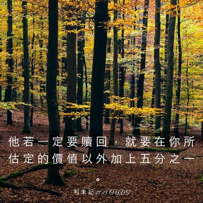 Picture 03 - 利 未 記 27:13 CUVT - 他 若 一 定 要 贖 回 ， 就 要 在 你 - Bible Verse Picture