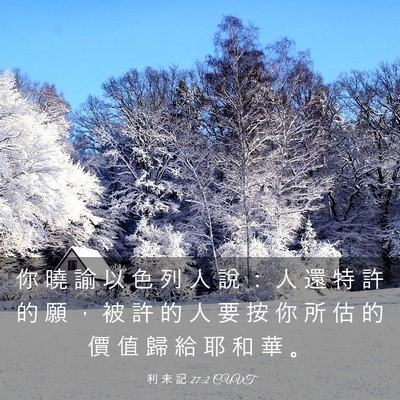 Picture 03 - 利 未 記 27:2 CUVT - 你 曉 諭 以 色 列 人 說 ： 人 還 特 - Bible Verse Picture