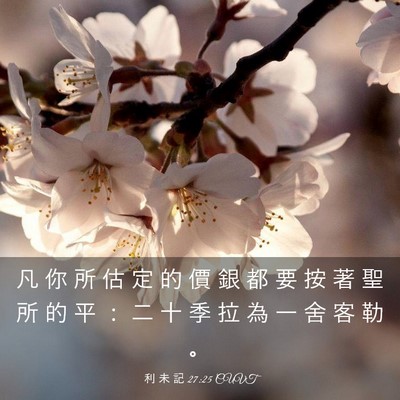 Picture 03 - 利 未 記 27:25 CUVT - 凡 你 所 估 定 的 價 銀 都 要 按 著 - Bible Verse Picture