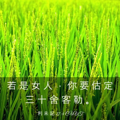 Picture 03 - 利 未 記 27:4 CUVT - 若 是 女 人 ， 你 要 估 定 三 十 舍 - Bible Verse Picture