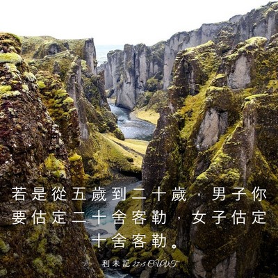 Picture 03 - 利 未 記 27:5 CUVT - 若 是 從 五 歲 到 二 十 歲 ， 男 子 - Bible Verse Picture