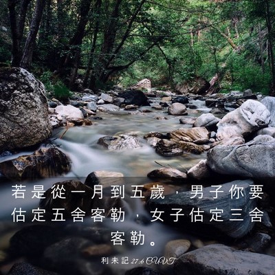 Picture 03 - 利 未 記 27:6 CUVT - 若 是 從 一 月 到 五 歲 ， 男 子 你 - Bible Verse Picture