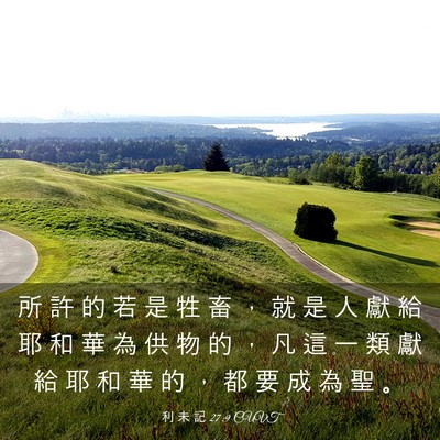 Picture 03 - 利 未 記 27:9 CUVT - 所 許 的 若 是 牲 畜 ， 就 是 人 獻 - Bible Verse Picture