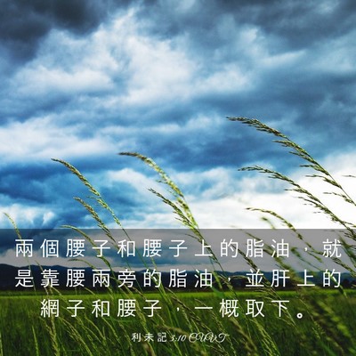 Picture 03 - 利 未 記 3:10 CUVT - 兩 個 腰 子 和 腰 子 上 的 脂 油 ， - Bible Verse Picture