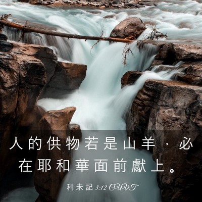 Picture 03 - 利 未 記 3:12 CUVT - 人 的 供 物 若 是 山 羊 ， 必 在 耶 - Bible Verse Picture