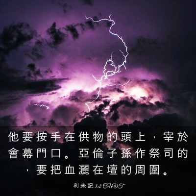 Picture 03 - 利 未 記 3:2 CUVT - 他 要 按 手 在 供 物 的 頭 上 ， 宰 - Bible Verse Picture
