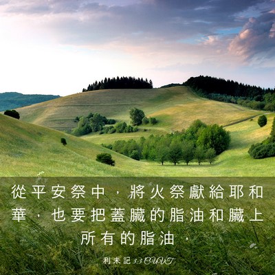 Picture 03 - 利 未 記 3:3 CUVT - 從 平 安 祭 中 ， 將 火 祭 獻 給 耶 - Bible Verse Picture
