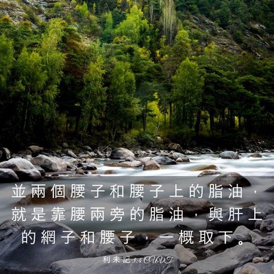 Picture 03 - 利 未 記 3:4 CUVT - 並 兩 個 腰 子 和 腰 子 上 的 脂 油 - Bible Verse Picture