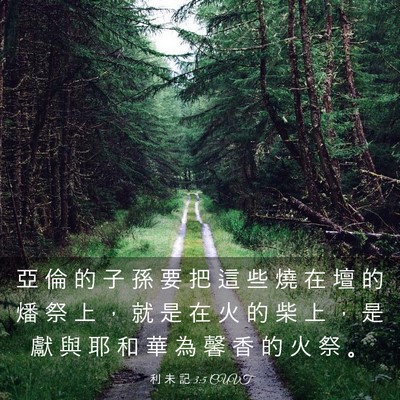 Picture 03 - 利 未 記 3:5 CUVT - 亞 倫 的 子 孫 要 把 這 些 燒 在 壇 - Bible Verse Picture