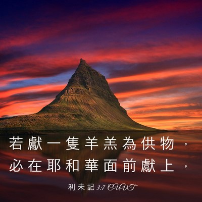 Picture 03 - 利 未 記 3:7 CUVT - 若 獻 一 隻 羊 羔 為 供 物 ， 必 在 - Bible Verse Picture