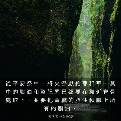 Picture 03 - 利 未 記 3:9 CUVT - 從 平 安 祭 中 ， 將 火 祭 獻 給 耶 - Bible Verse Picture