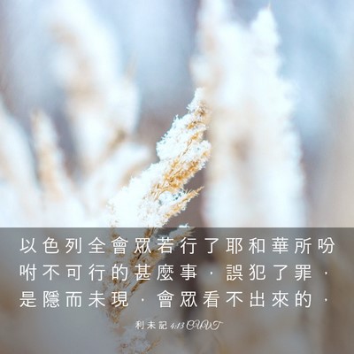 Picture 03 - 利 未 記 4:13 CUVT - 以 色 列 全 會 眾 若 行 了 耶 和 華 - Bible Verse Picture