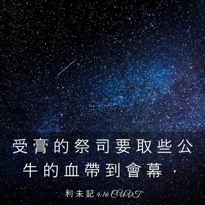 Picture 03 - 利 未 記 4:16 CUVT - 受 膏 的 祭 司 要 取 些 公 牛 的 血 - Bible Verse Picture