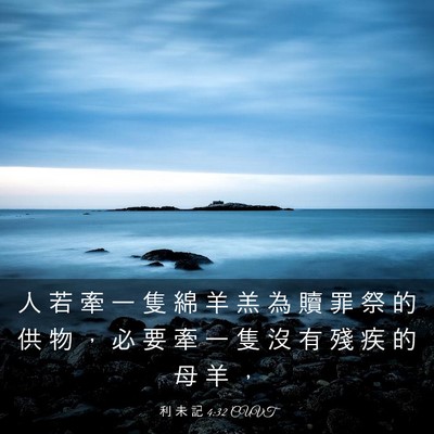 Picture 03 - 利 未 記 4:32 CUVT - 人 若 牽 一 隻 綿 羊 羔 為 贖 罪 祭 - Bible Verse Picture