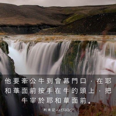Picture 03 - 利 未 記 4:4 CUVT - 他 要 牽 公 牛 到 會 幕 門 口 ， 在 - Bible Verse Picture