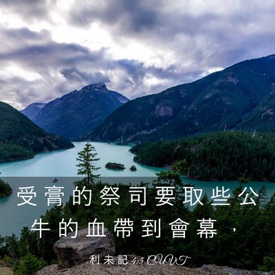Picture 03 - 利 未 記 4:5 CUVT - 受 膏 的 祭 司 要 取 些 公 牛 的 血 - Bible Verse Picture