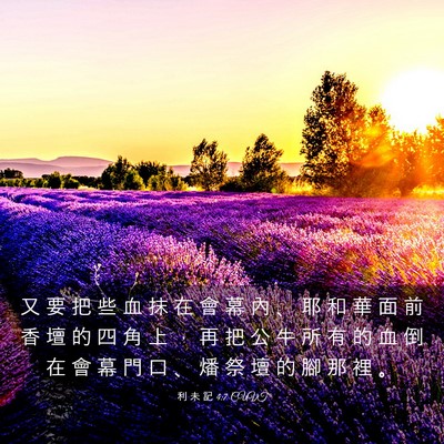 Picture 03 - 利 未 記 4:7 CUVT - 又 要 把 些 血 抹 在 會 幕 內 、 耶 - Bible Verse Picture