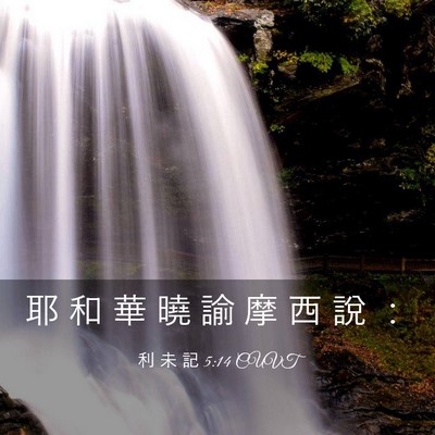 Picture 03 - 利 未 記 5:14 CUVT - 耶 和 華 曉 諭 摩 西 說 - Bible Verse Picture