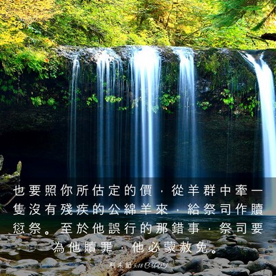 Picture 03 - 利 未 記 5:18 CUVT - 也 要 照 你 所 估 定 的 價 ， 從 羊 - Bible Verse Picture