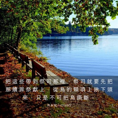 Picture 03 - 利 未 記 5:8 CUVT - 把 這 些 帶 到 祭 司 那 裡 ， 祭 司 - Bible Verse Picture