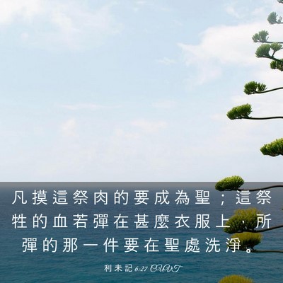Picture 03 - 利 未 記 6:27 CUVT - 凡 摸 這 祭 肉 的 要 成 為 聖 ； 這 - Bible Verse Picture