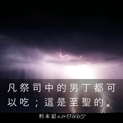 Picture 03 - 利 未 記 6:29 CUVT - 凡 祭 司 中 的 男 丁 都 可 以 吃 ； - Bible Verse Picture