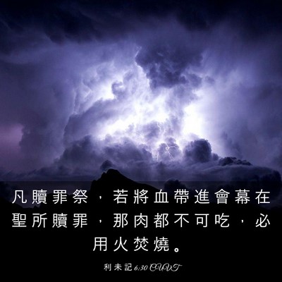 Picture 03 - 利 未 記 6:30 CUVT - 凡 贖 罪 祭 ， 若 將 血 帶 進 會 幕 - Bible Verse Picture