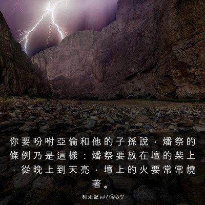 Picture 03 - 利 未 記 6:9 CUVT - 你 要 吩 咐 亞 倫 和 他 的 子 孫 說 - Bible Verse Picture