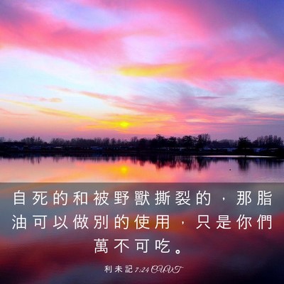 Picture 03 - 利 未 記 7:24 CUVT - 自 死 的 和 被 野 獸 撕 裂 的 ， 那 - Bible Verse Picture