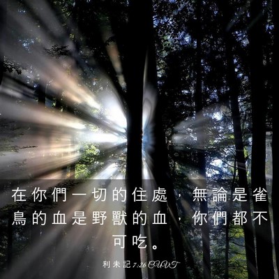 Picture 03 - 利 未 記 7:26 CUVT - 在 你 們 一 切 的 住 處 ， 無 論 是 - Bible Verse Picture