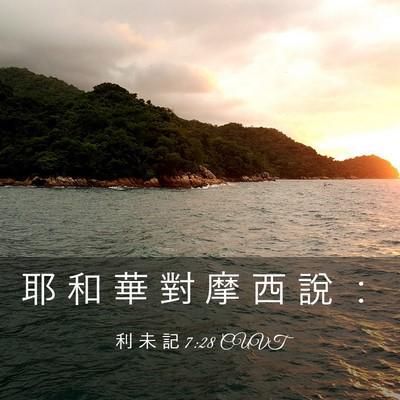 Picture 03 - 利 未 記 7:28 CUVT - 耶 和 華 對 摩 西 說 - Bible Verse Picture