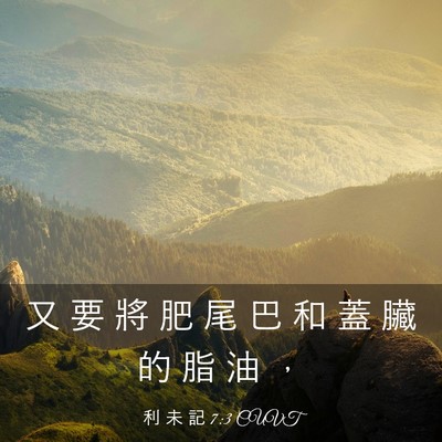 Picture 03 - 利 未 記 7:3 CUVT - 又 要 將 肥 尾 巴 和 蓋 臟 的 脂 油 - Bible Verse Picture
