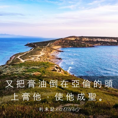 Picture 03 - 利 未 記 8:12 CUVT - 又 把 膏 油 倒 在 亞 倫 的 頭 上 膏 - Bible Verse Picture