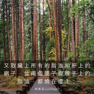 Picture 03 - 利 未 記 8:16 CUVT - 又 取 臟 上 所 有 的 脂 油 和 肝 上 - Bible Verse Picture