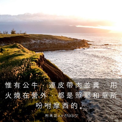 Picture 03 - 利 未 記 8:17 CUVT - 惟 有 公 牛 ， 連 皮 帶 肉 並 糞 ， - Bible Verse Picture