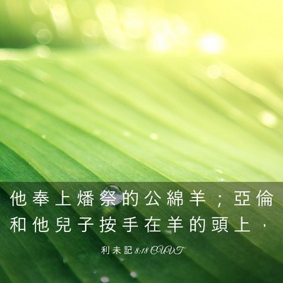 Picture 03 - 利 未 記 8:18 CUVT - 他 奉 上 燔 祭 的 公 綿 羊 ； 亞 倫 - Bible Verse Picture