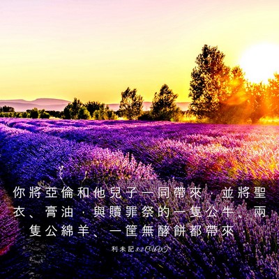 Picture 03 - 利 未 記 8:2 CUVT - 你 將 亞 倫 和 他 兒 子 一 同 帶 來 - Bible Verse Picture