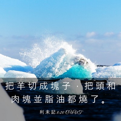 Picture 03 - 利 未 記 8:20 CUVT - 把 羊 切 成 塊 子 ， 把 頭 和 肉 塊 - Bible Verse Picture