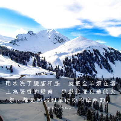 Picture 03 - 利 未 記 8:21 CUVT - 用 水 洗 了 臟 腑 和 腿 ， 就 把 全 - Bible Verse Picture
