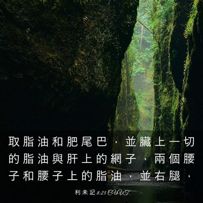 Picture 03 - 利 未 記 8:25 CUVT - 取 脂 油 和 肥 尾 巴 ， 並 臟 上 一 - Bible Verse Picture