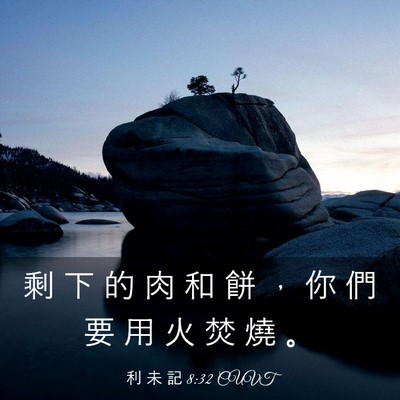 Picture 03 - 利 未 記 8:32 CUVT - 剩 下 的 肉 和 餅 ， 你 們 要 用 火 - Bible Verse Picture