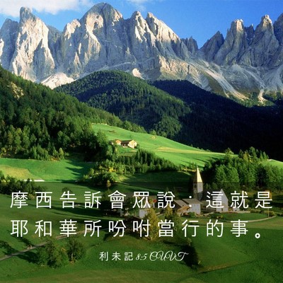 Picture 03 - 利 未 記 8:5 CUVT - 摩 西 告 訴 會 眾 說 ： 這 就 是 耶 - Bible Verse Picture
